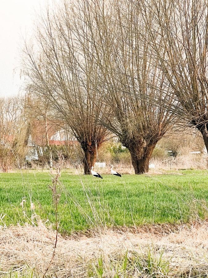 Siedlisko Nad Nogatem Apartamento Jazowa  Exterior foto